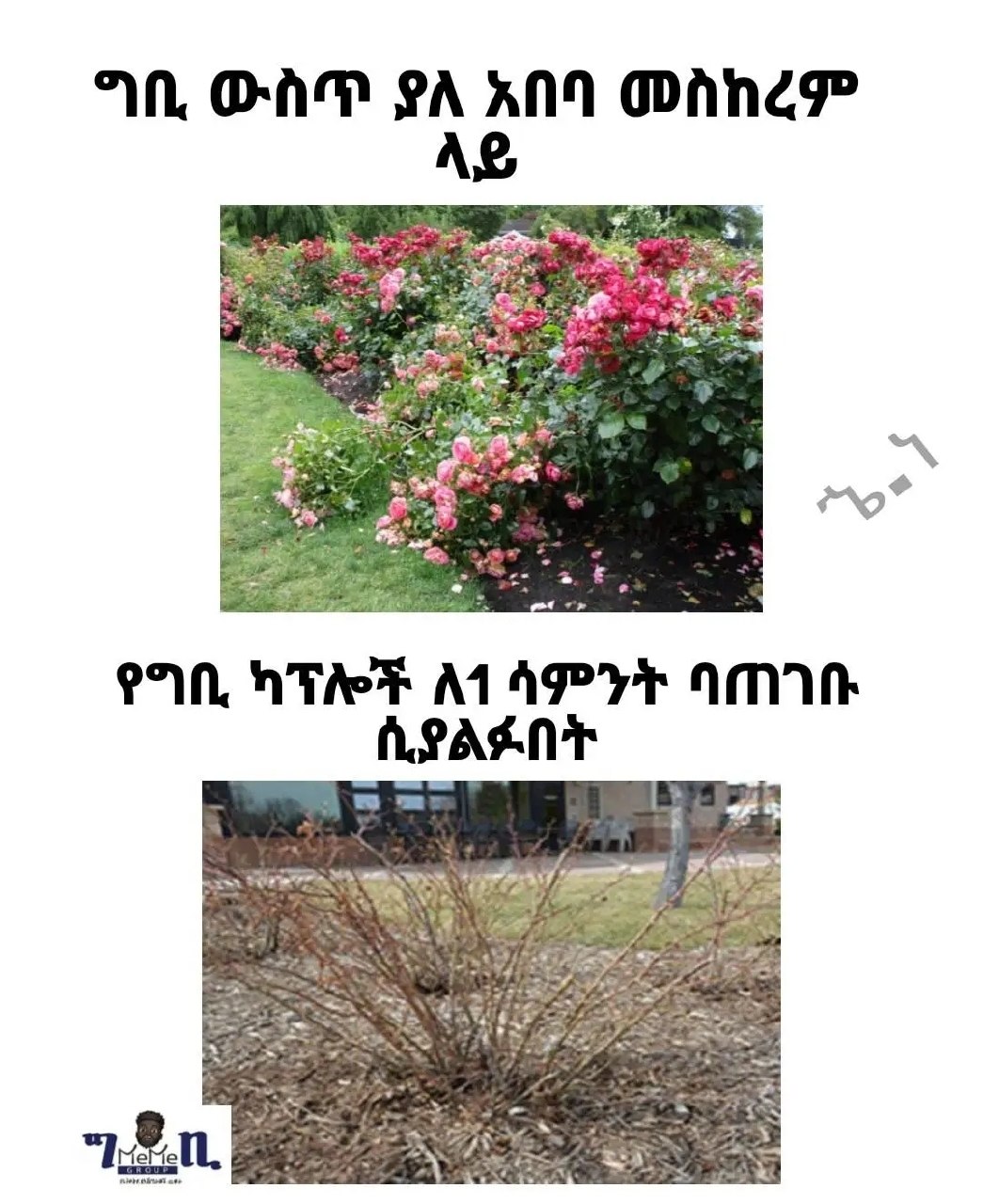 ግቢ ውስጥ ያል አበባ መስከረም የግቢ ካፕሎች ለ1 | ሳምንት ባጠገቡ | ሲያልፉበት ..: ፡ . ።፡ ግ[.ጢ. ሯ 22 ።፡...2 ፡ .፡፡ ን. TN, OT wa xn DARE PN, nT M AP amin . PAST ee j ee oe 2a. Eee io eS Sy aE cS Sea